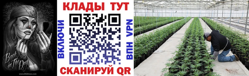 Канабис Зверево