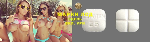 mdpv Гусь-Хрустальный