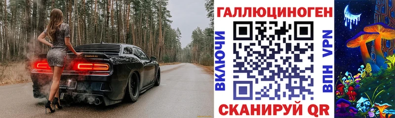 Купить  Зверево  Псилоцибиновые грибы прущие грибы 